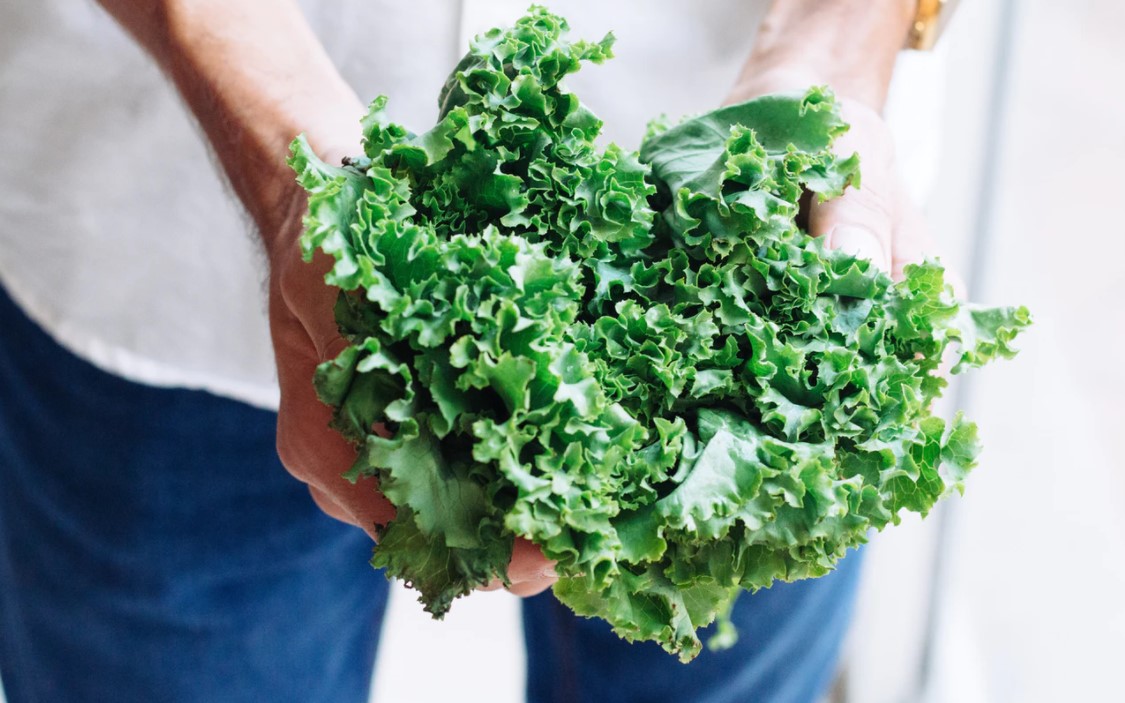 Senior Nutrition & Foods For Brain Power
